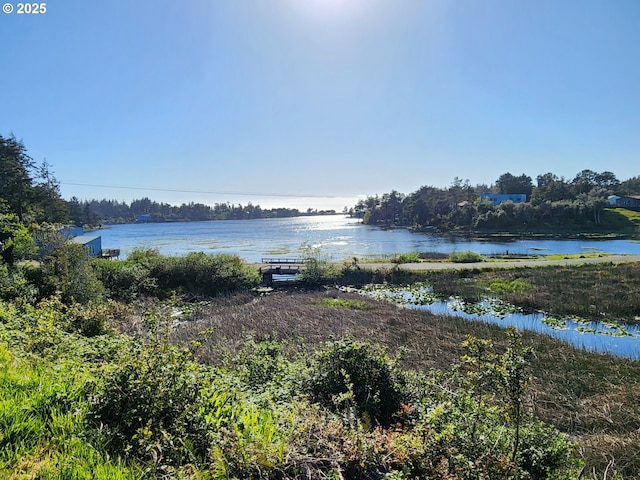 water view