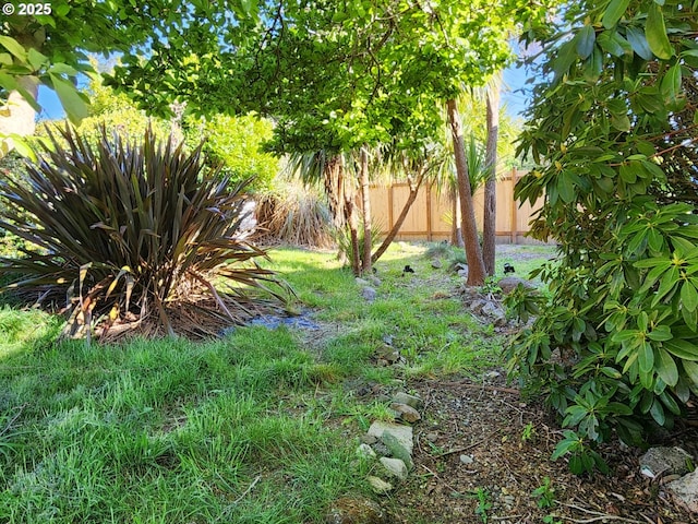view of yard featuring fence