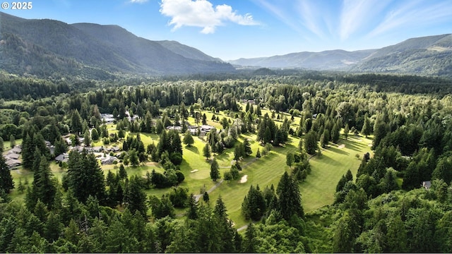 25901 E Highview Dr, Welches, OR 97067 - view of mountain backdrop with a heavily wooded area