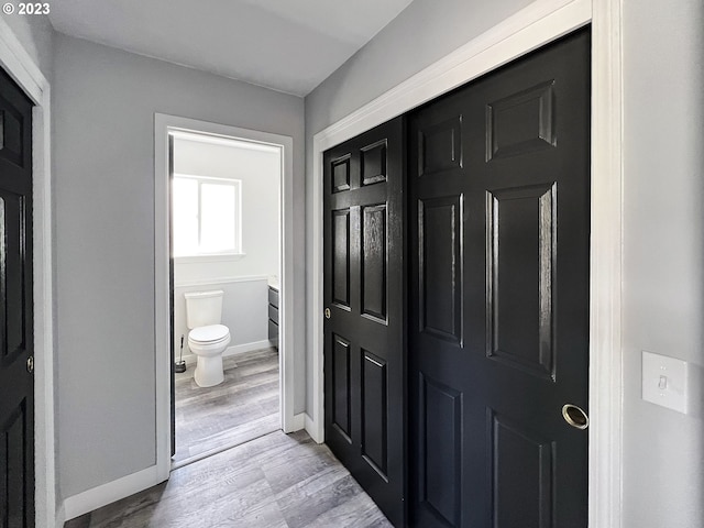 entrance foyer with wood-type flooring