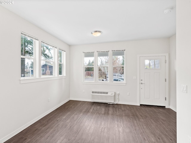 foyer featuring a healthy amount of sunlight and dark wood-type flooring