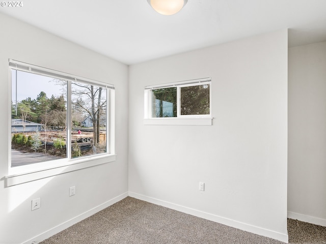 carpeted empty room featuring a healthy amount of sunlight