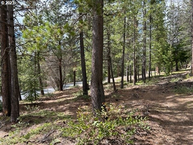 Listing photo 3 for 43 Clear Spring Way, Crescent Lake OR 97733