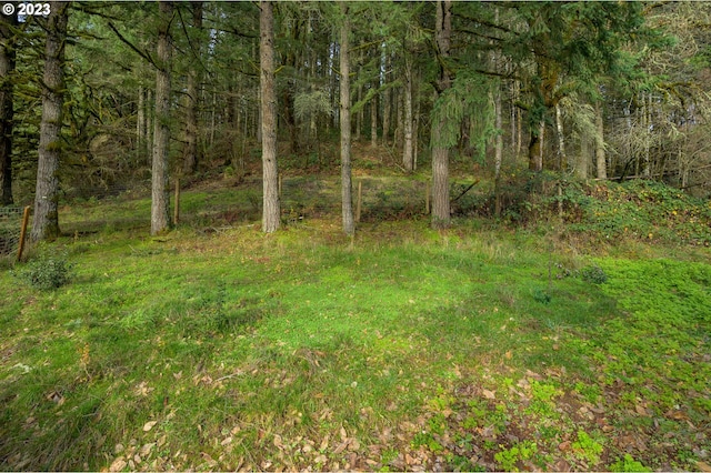 16600 NW Panther Creek Rd, Carlton OR, 97111 land for sale