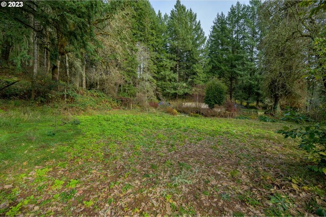 16600 NW Panther Creek Rd, Carlton, OR 97111