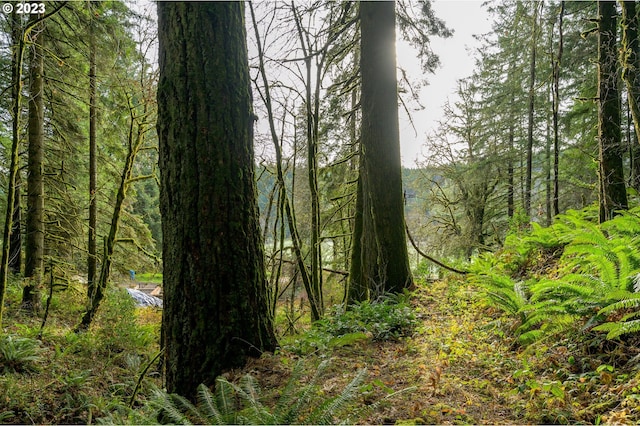 16600 NW Panther Creek Rd, Carlton, OR 97111
