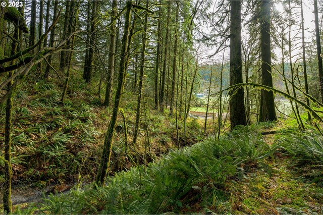 16600 NW Panther Creek Rd, Carlton, OR 97111
