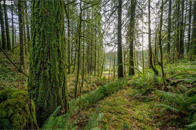 16600 NW Panther Creek Rd, Carlton, OR 97111