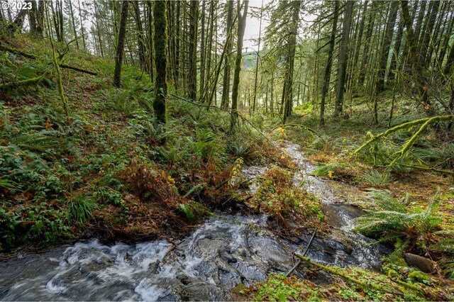 16600 NW Panther Creek Rd, Carlton, OR 97111
