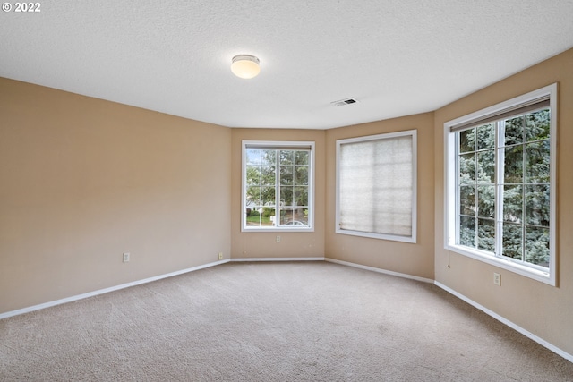 carpeted empty room featuring a textured ceiling