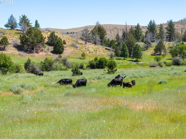 property view of mountains with a rural view