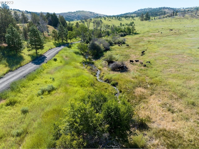 view of drone / aerial view