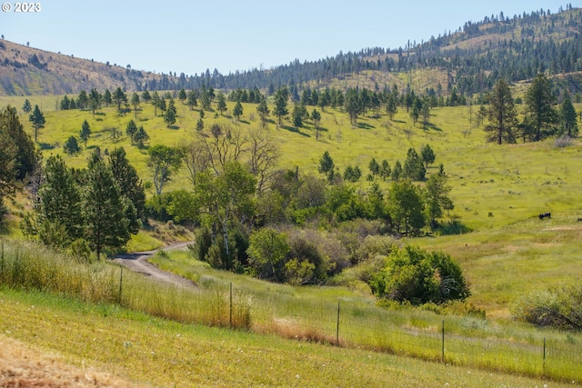 mountain view featuring a rural view