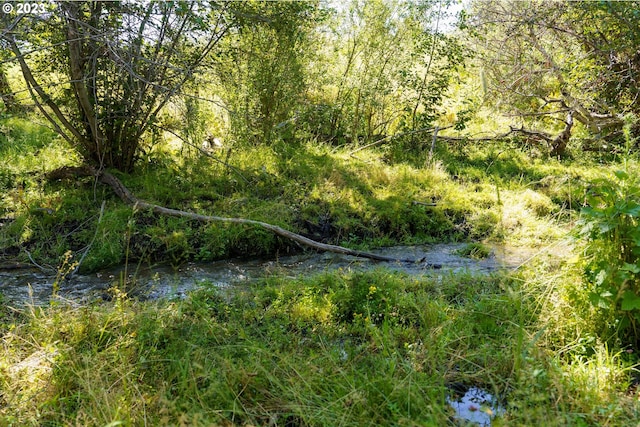 view of mother earth's splendor with a water view