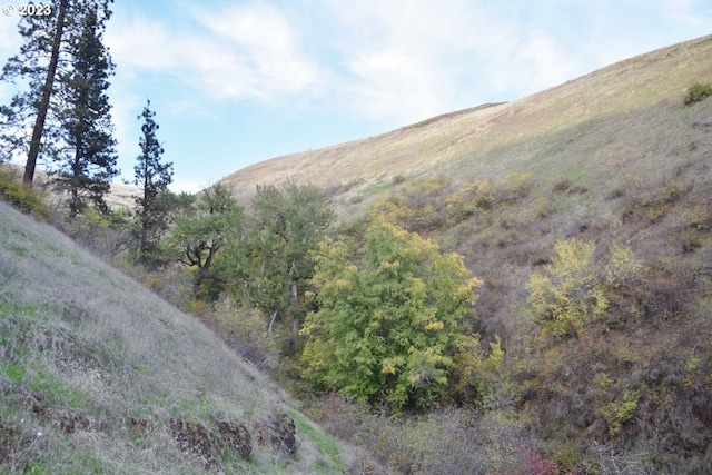 view of mountain view