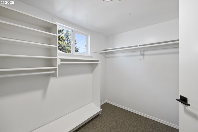 spacious closet with dark colored carpet