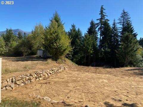 960 NW Angel Heights Rd, Stevenson WA, 98648 land for sale