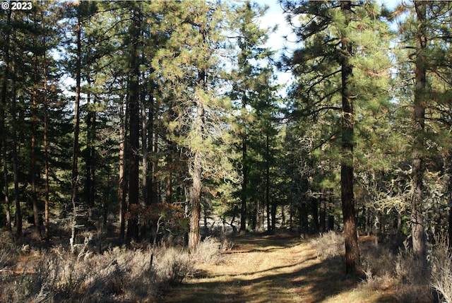 Jenkins Creek Rd, Goldendale, WA 98620