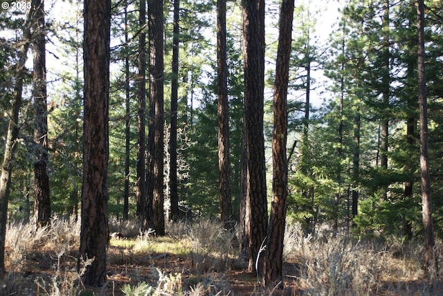 Jenkins Creek Rd, Goldendale, WA 98620