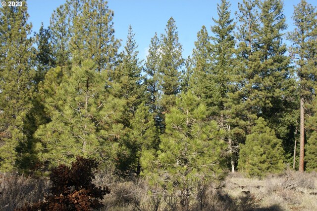 Jenkins Creek Rd, Goldendale, WA 98620
