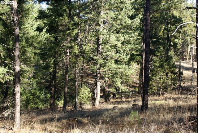 Jenkins Creek Rd, Goldendale, WA 98620