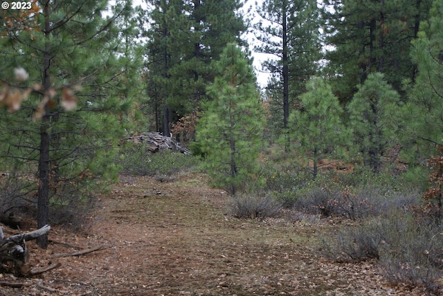 Jenkins Creek Rd, Goldendale, WA 98620