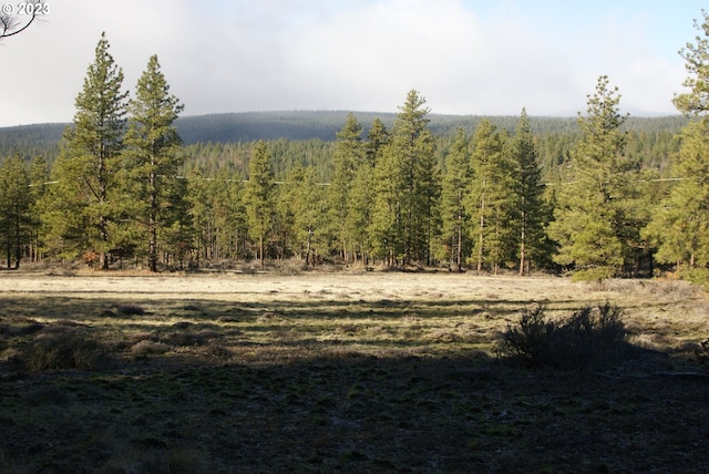 Jenkins Creek Rd, Goldendale, WA 98620