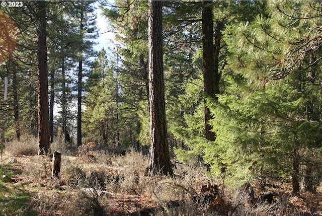 Jenkins Creek Rd, Goldendale, WA 98620