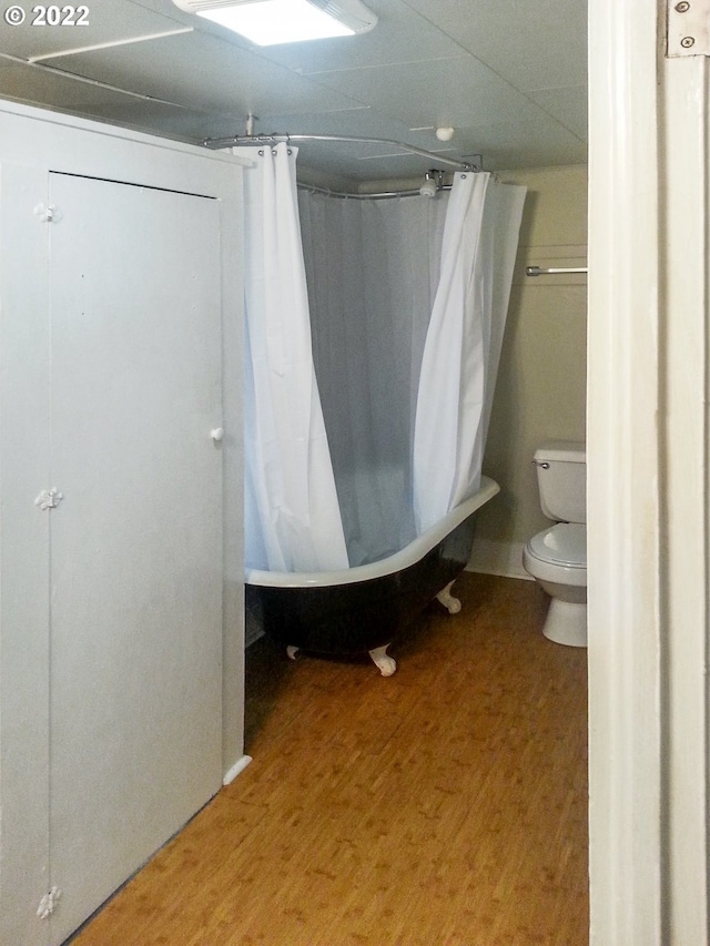 bathroom featuring toilet and wood-type flooring