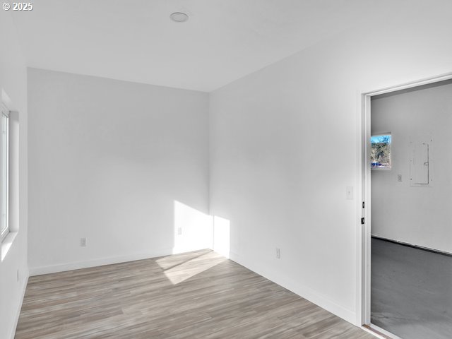 unfurnished room featuring a wealth of natural light, electric panel, and light wood-type flooring