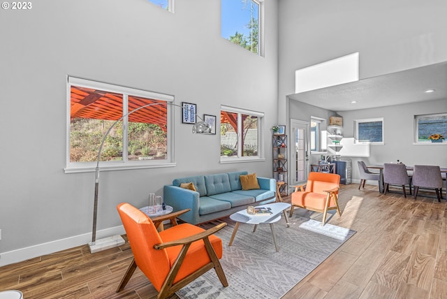 living room featuring light hardwood / wood-style flooring and a towering ceiling