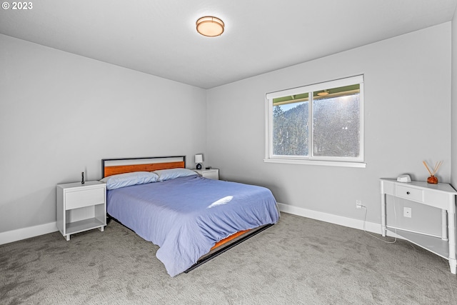 bedroom with dark carpet