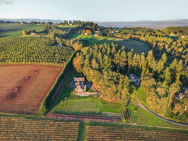 22000 SE Upper Matthews Creek Ln, Amity, OR 97101 - drone / aerial view with a rural view