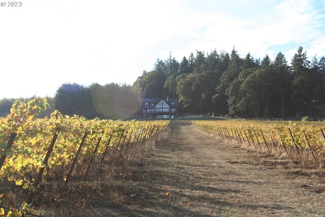 22000 SE Upper Matthews Creek Ln, Amity, OR 97101 - view of road featuring a rural view