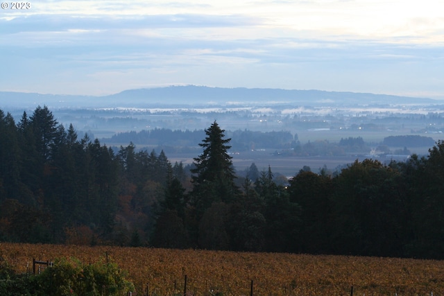 22000 SE Upper Matthews Creek Ln, Amity, OR 97101 - view of mountain view