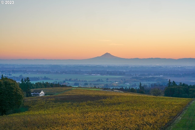 22000 SE Upper Matthews Creek Ln, Amity, OR 97101 - view of property view of mountains