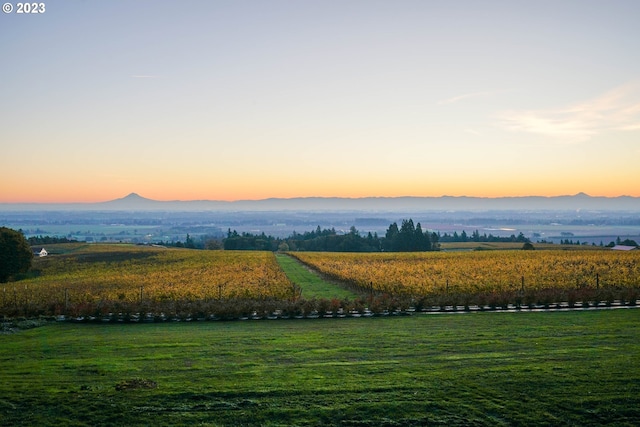 22000 SE Upper Matthews Creek Ln, Amity, OR 97101 - view of property's community with a rural view, a lawn, and a mountain view