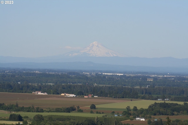 22000 SE Upper Matthews Creek Ln, Amity, OR 97101 - view of mountain view