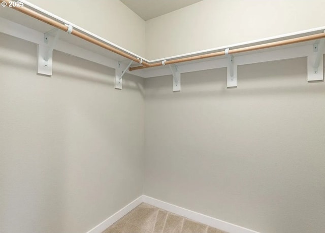 spacious closet with light carpet