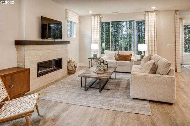 living room featuring a fireplace and light hardwood / wood-style flooring