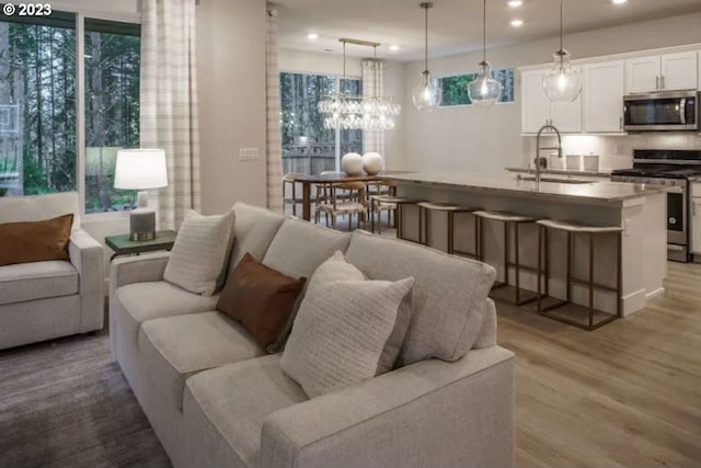 living room featuring light hardwood / wood-style flooring and sink