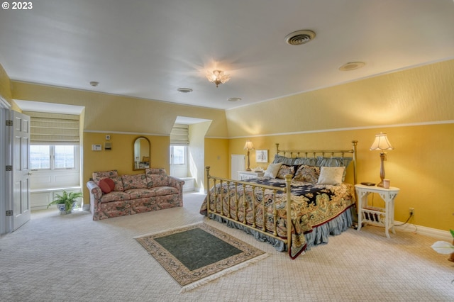 carpeted bedroom with multiple windows