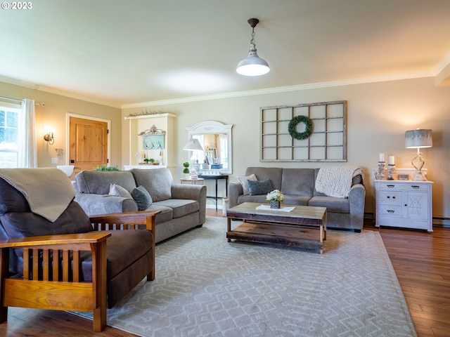 living room with crown molding and dark wood-type flooring