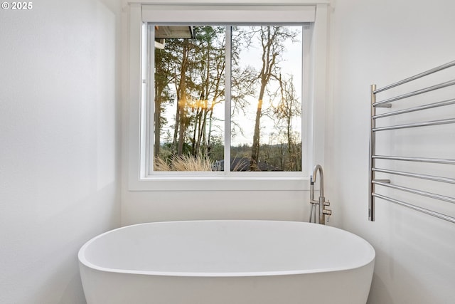 bathroom with a bathing tub