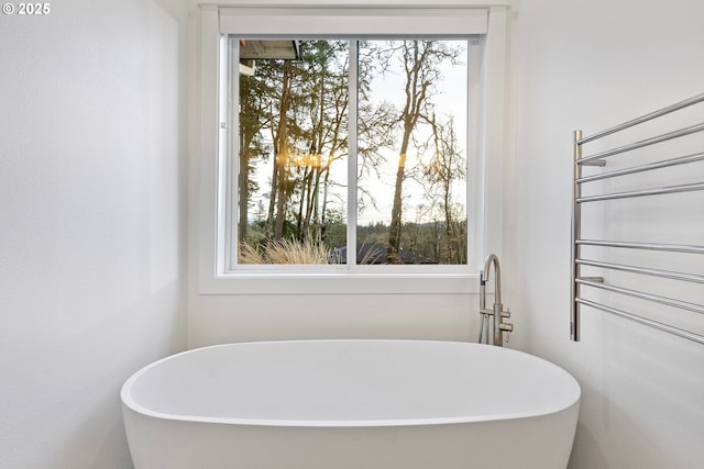 bathroom with a freestanding tub