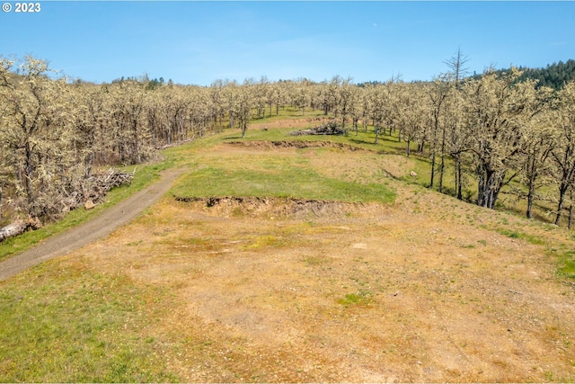 0 E Willis Creek Rd, Winston OR, 97496 land for sale