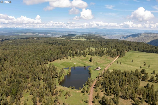 aerial view featuring a water and mountain view