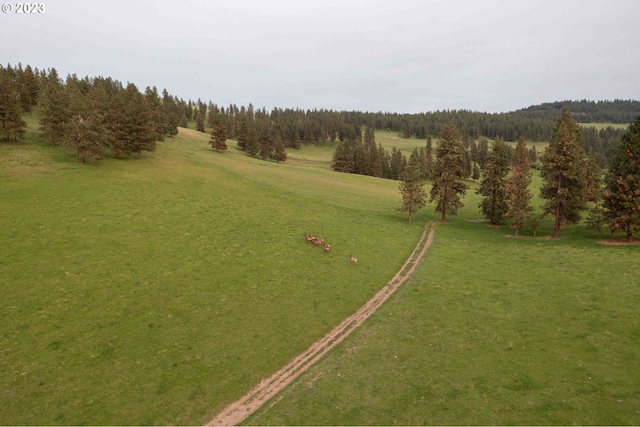 drone / aerial view with a rural view