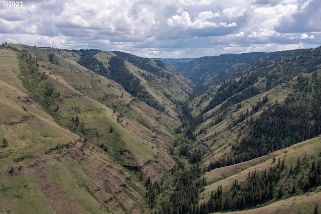 view of mountain feature