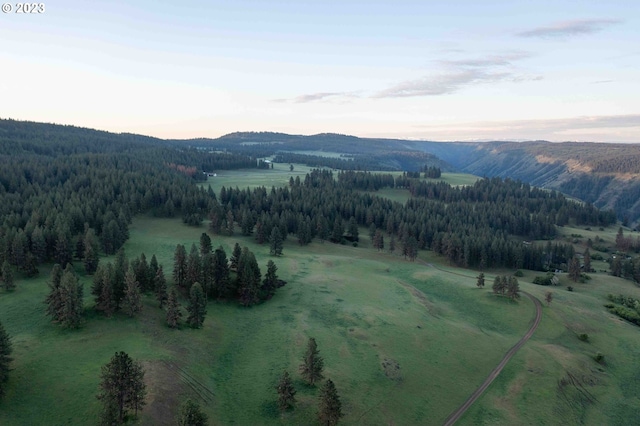 aerial view at dusk with a rural view